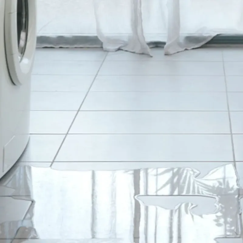 Appliance Leak Cleanup in Richmond Hill, GA