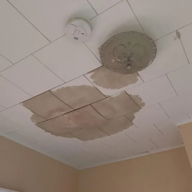 Ceiling Water Damage Repair in Richmond Hill, GA
