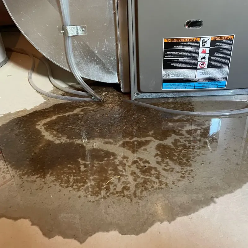 Pipe Burst and Leak Restoration in Richmond Hill, GA