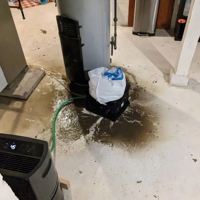 Sewage Backup Cleanup Service in Richmond Hill, GA